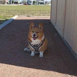 Meet your Posher, James